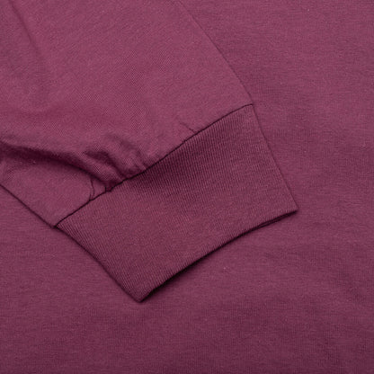 Basic Stussy L/S Tee - Berry