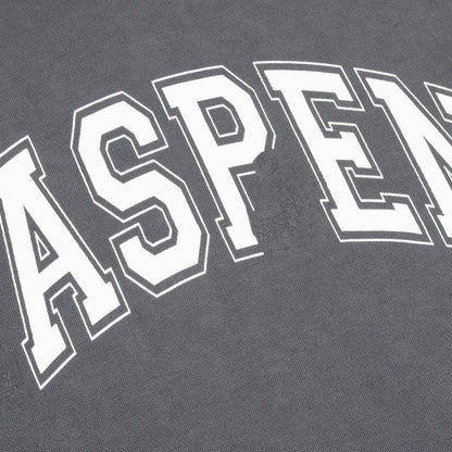 Haspen Hoodie - Steel Grey