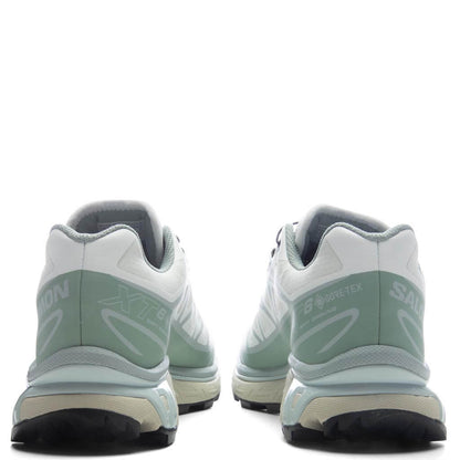 XT-6 GTX - White/Green Milieu